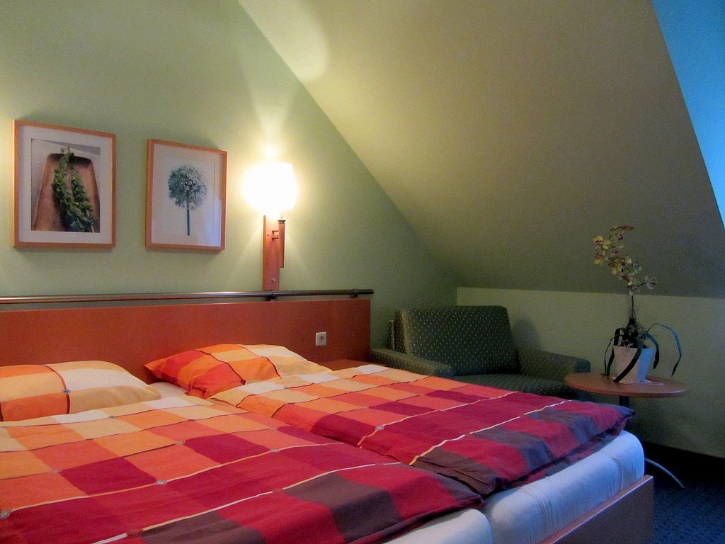 Appartement 2 Chambres - Wernigerode - Jardin