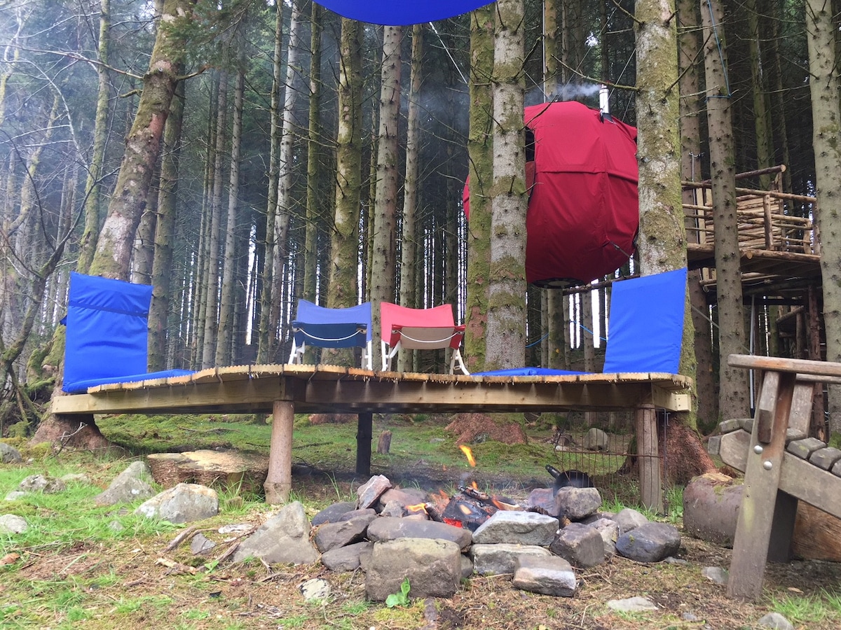 Cabane dans une cabane dans le Dark Skies Park - Wild Glamping