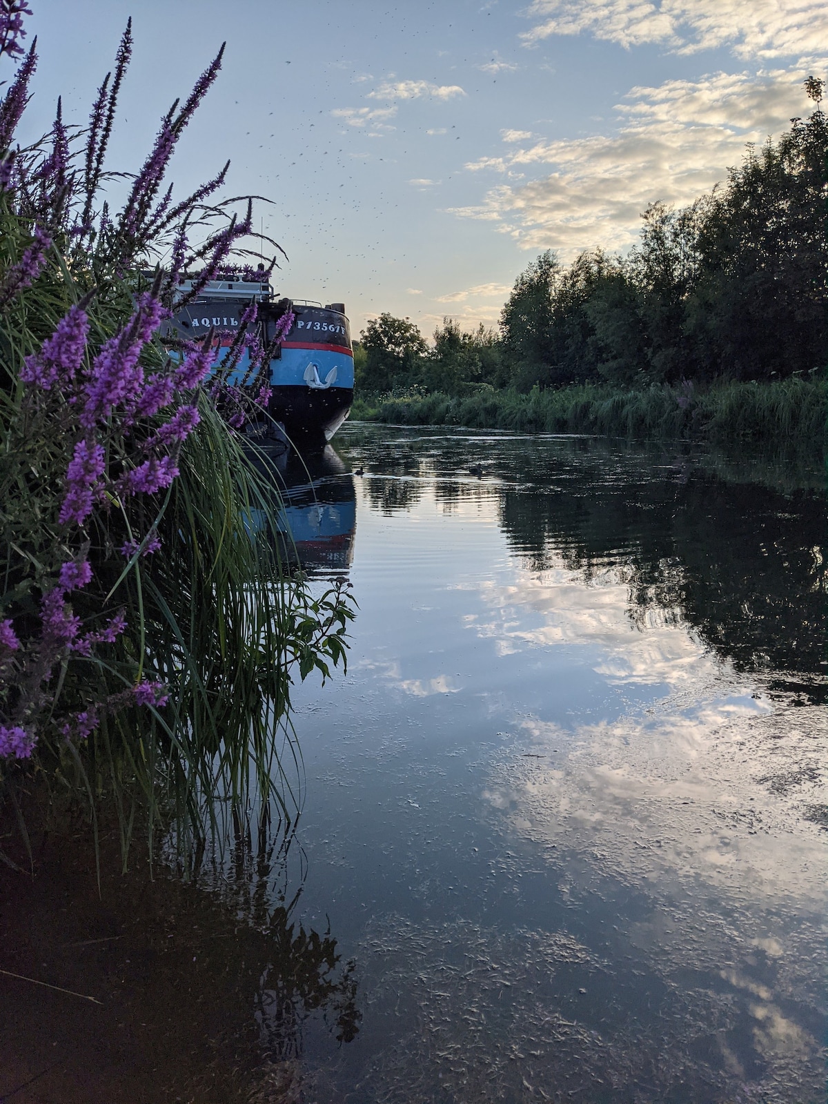 La cabane du voyageur